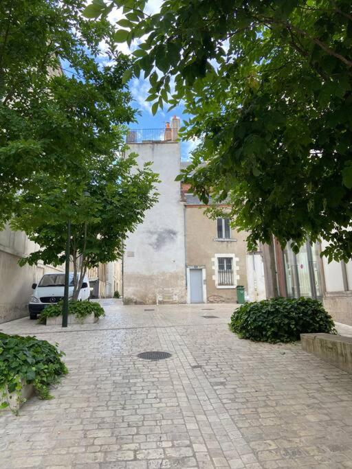 Centre Historique - Bourgogne/cathedrale Apartment